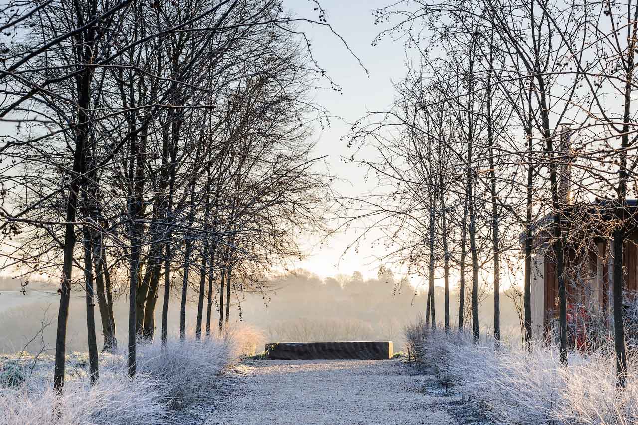 Tips from Marian Boswall on how to get your garden winter ready