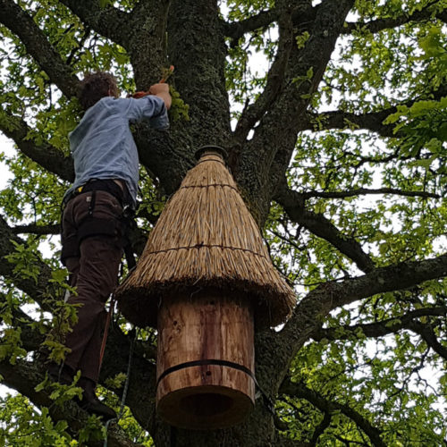Beehive Preparation Hanging
