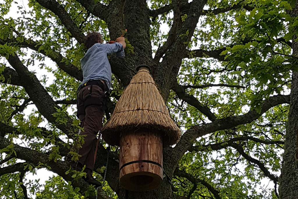 Beehive Preparation Hanging Marian Boswall Landscape Architects