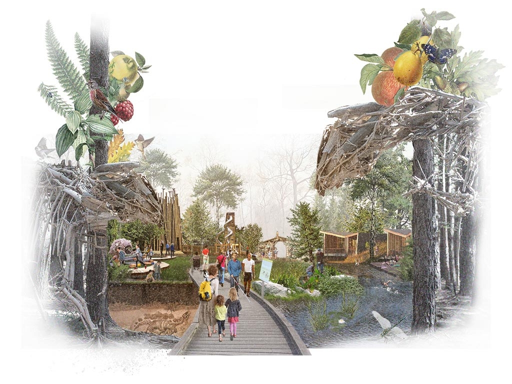 Borde Hill Gardens Collage