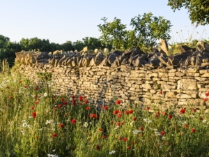 Chapel House, Wiltshire (14th June 2023)