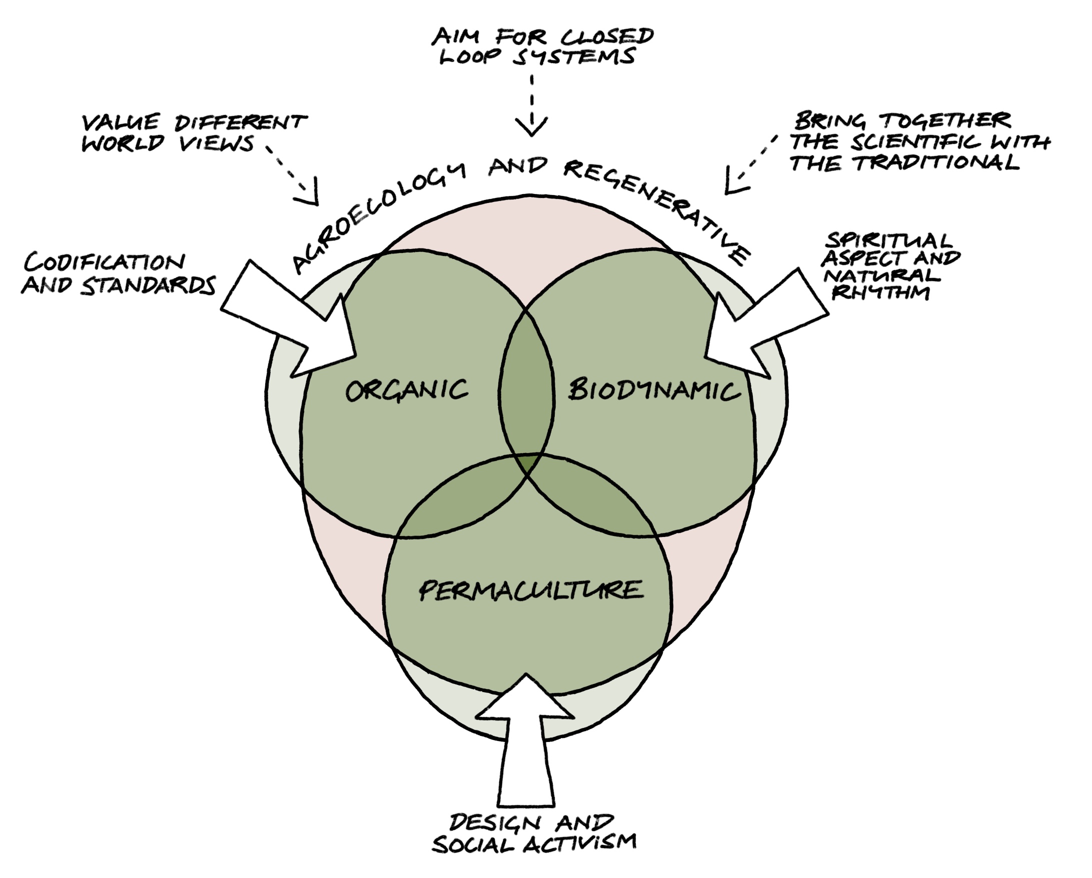 D2a Regen Diagram