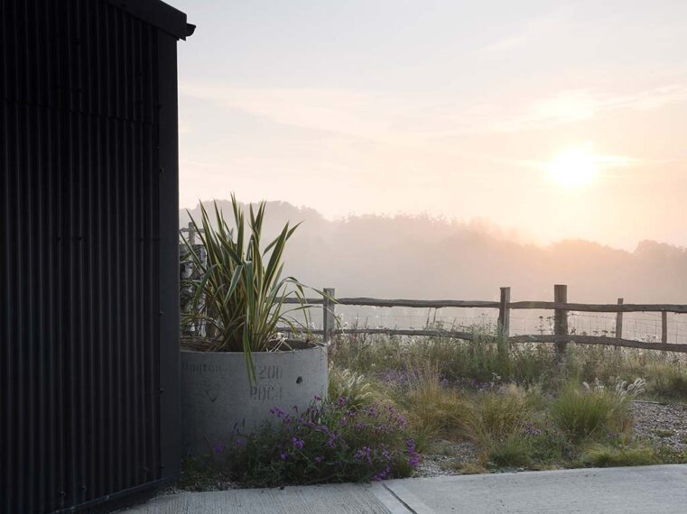 Tillingham Winery