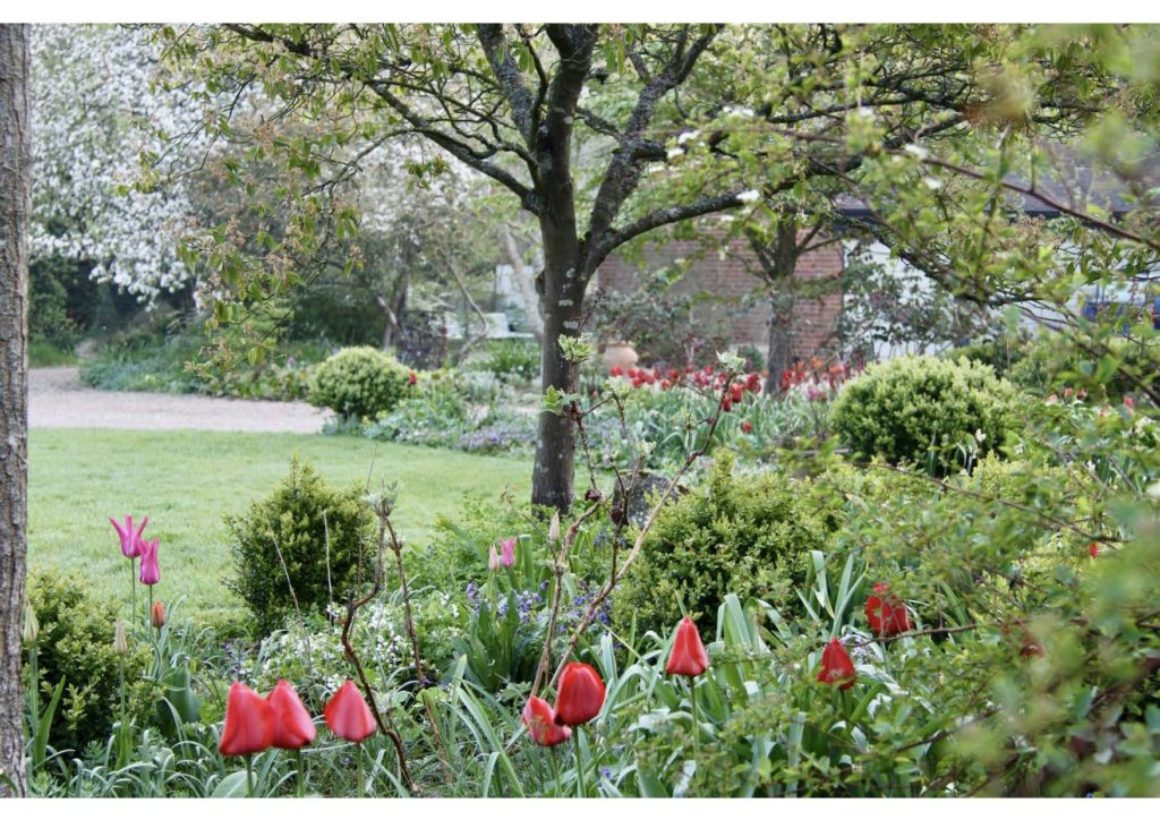 Garden Masterclass Image Reduced Garden Masterclass Image Reduced