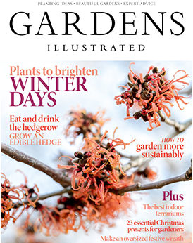 Gardens Illustrated December 2019