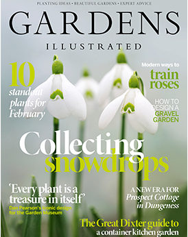 Gardens Illustrated February 2020