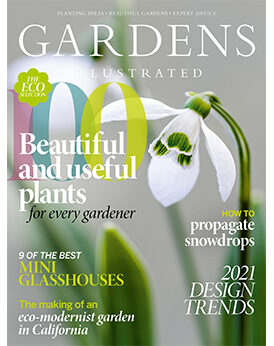 Gardens Illustrated January 2021