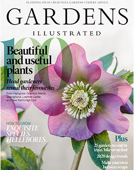 Gardens Illustrated January 2020