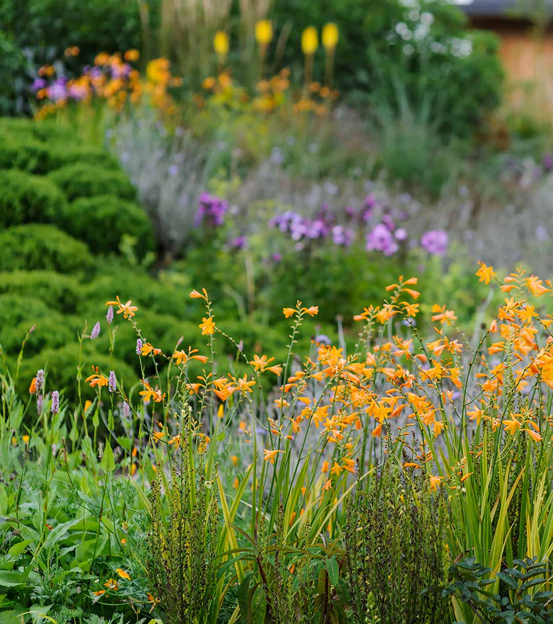 Marian Boswall Landscape Architects Plantswoman Garden