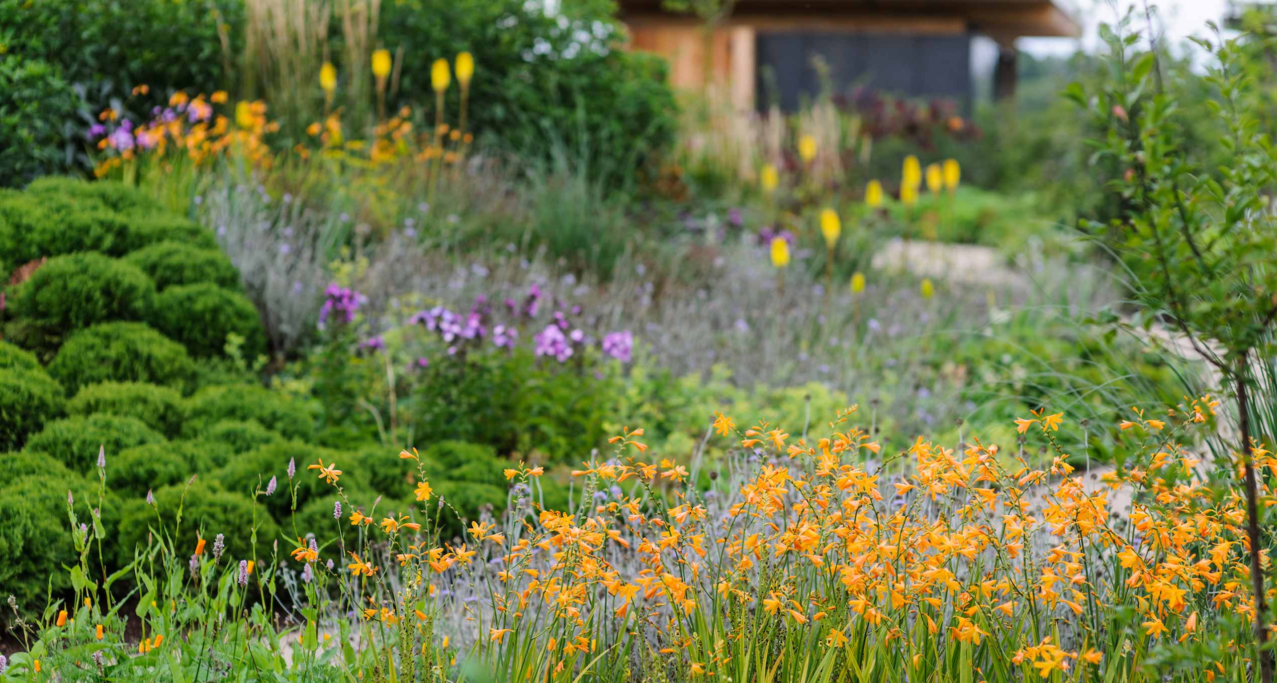 Marian Boswall Landscape Architects