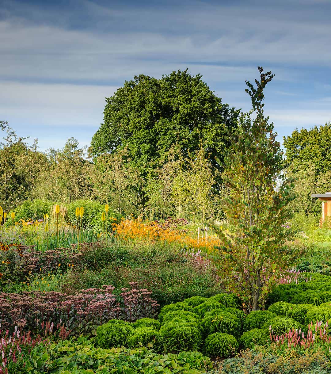Marian Boswall Landscape Architects