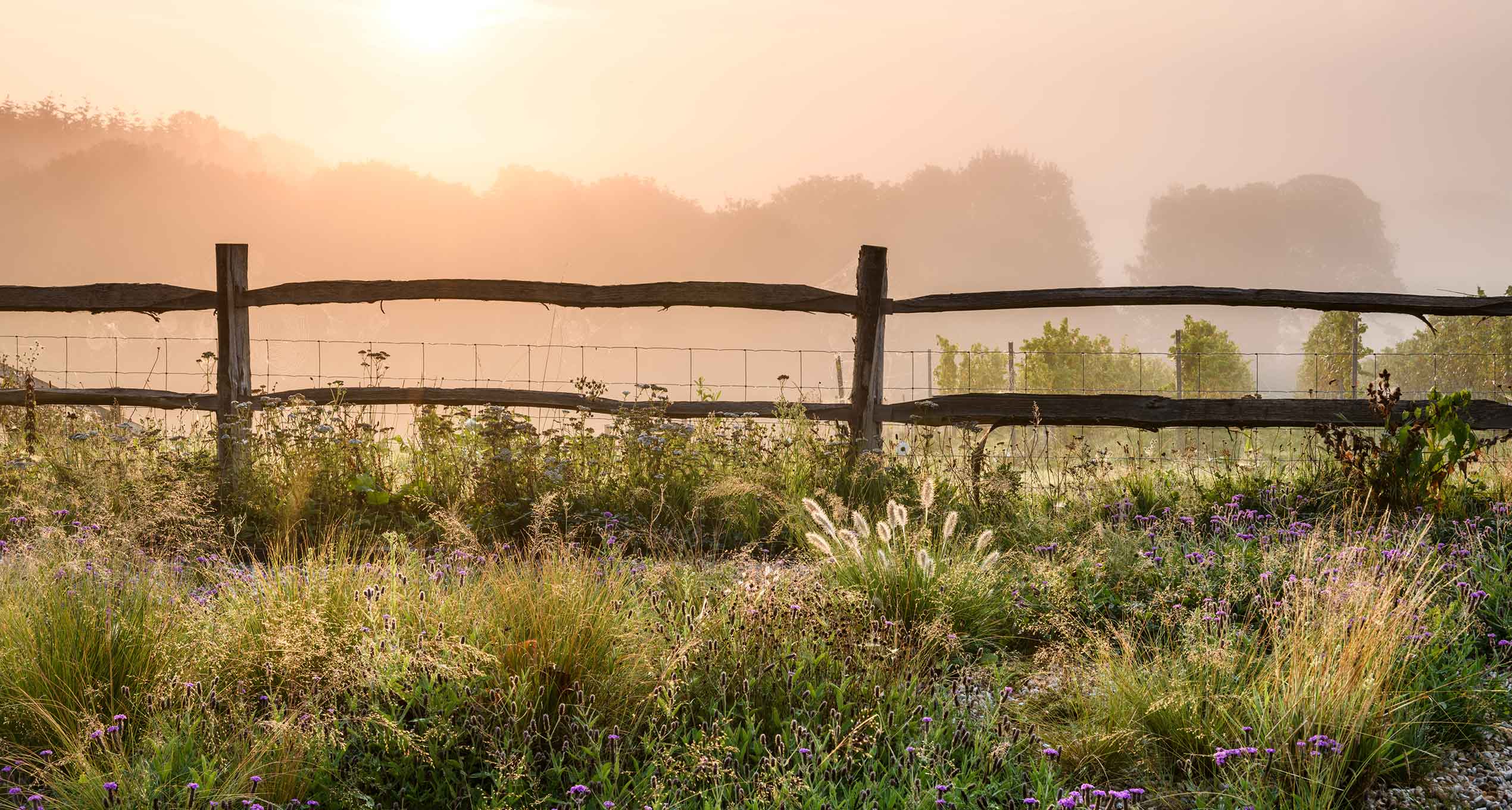 Marian Boswall Landscape Architects Tillingham Winery