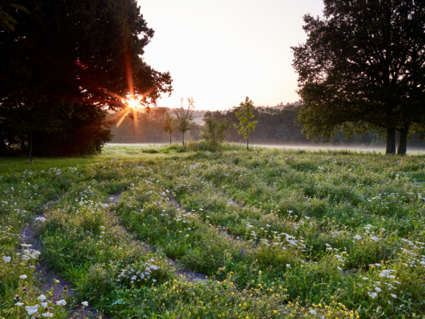 JI 200819 Danegate 004 JI 200819 Danegate 004