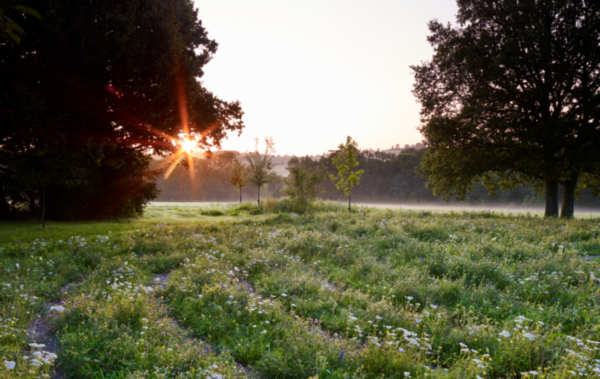 JI 200819 Danegate 004