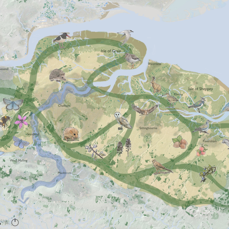 MBLA Chalk To Coast Illustrative Map Copy