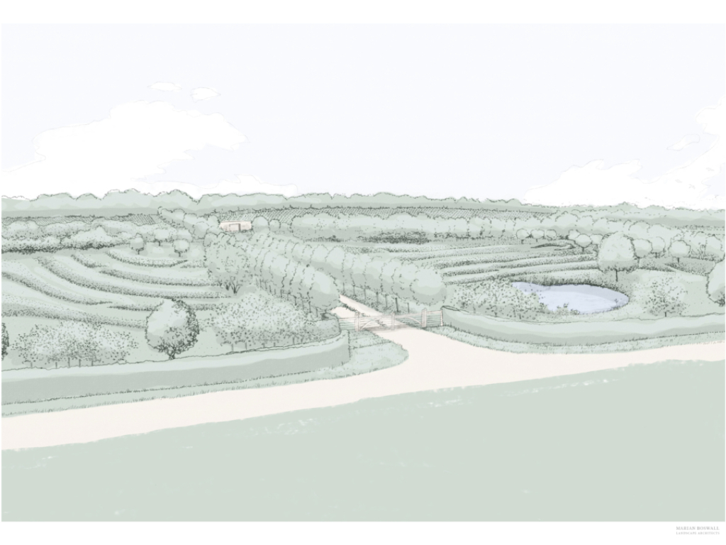 Illustrative View Of Gate And Landscape at Domaine Evremond winery by Marian Boswall Landscape Architects