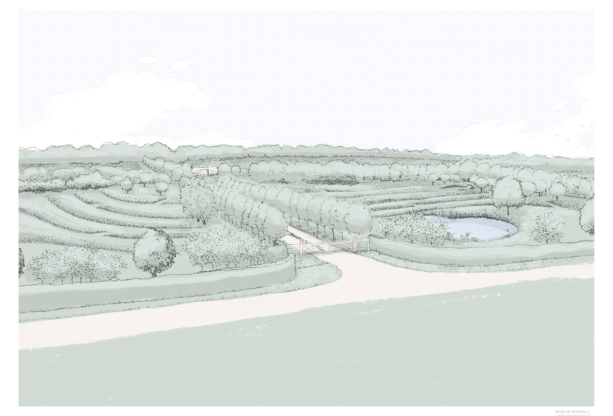 Illustrative View Of Gate And Landscape at Domaine Evremond winery by Marian Boswall Landscape Architects