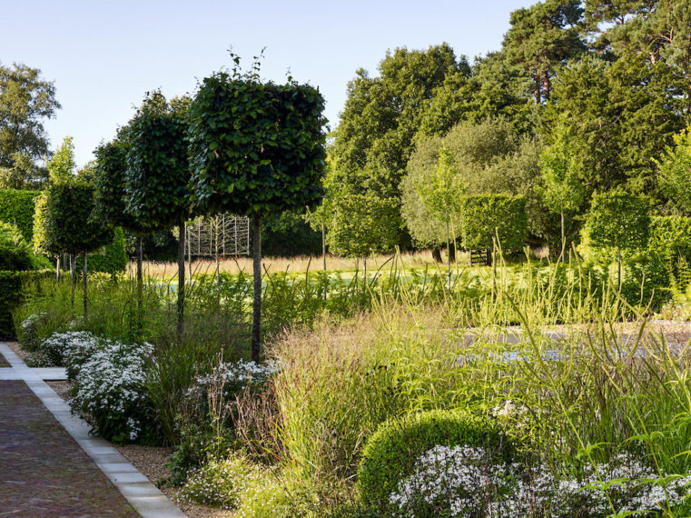 Sussex Garden12