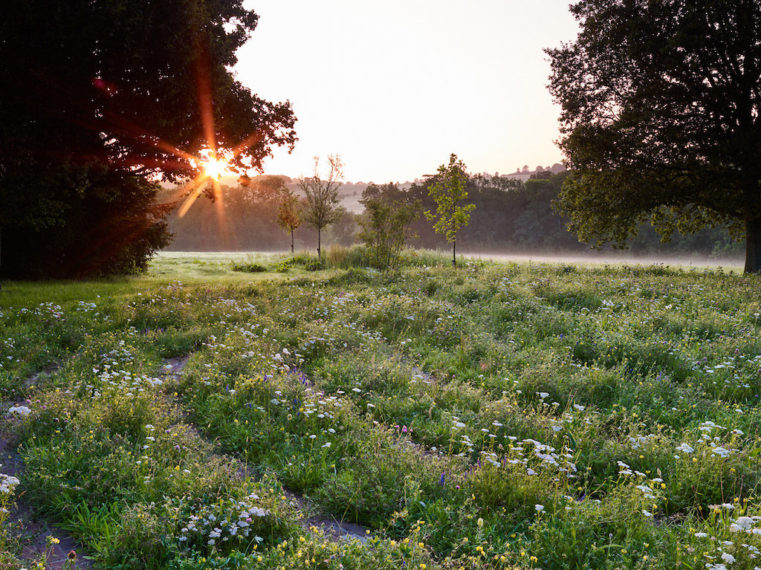 Sussex Garden3