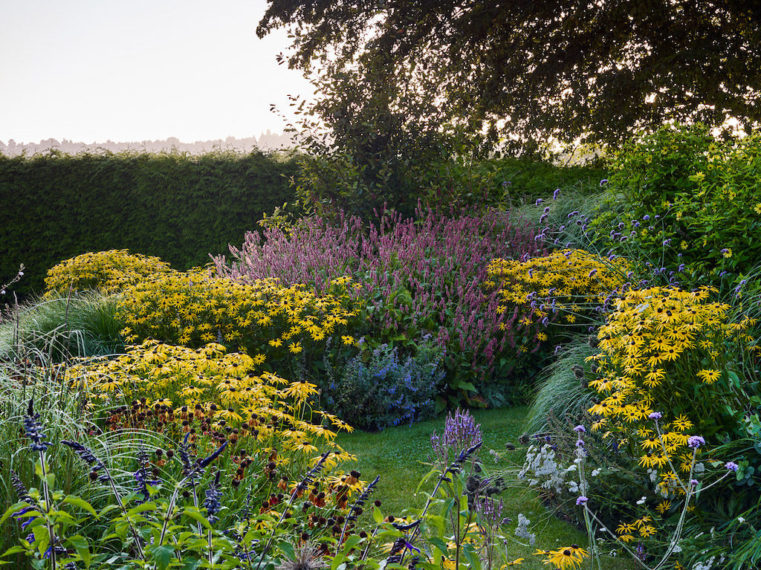 Sussex Garden9