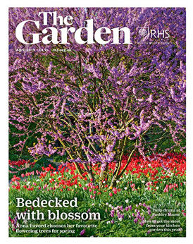 The Garden April 2019