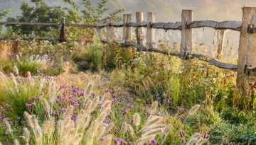 Tillingham Winery Flowers