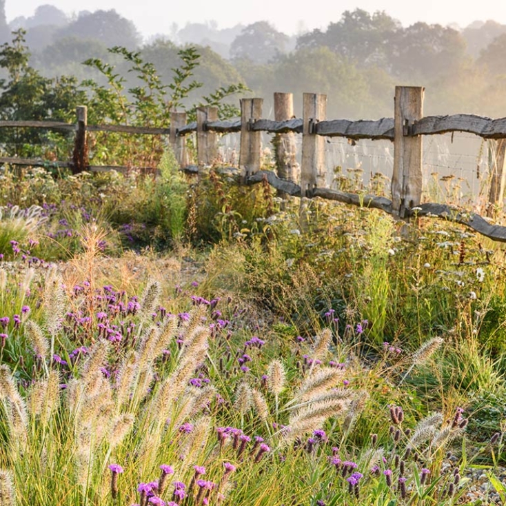 Tillingham Winery Flowers