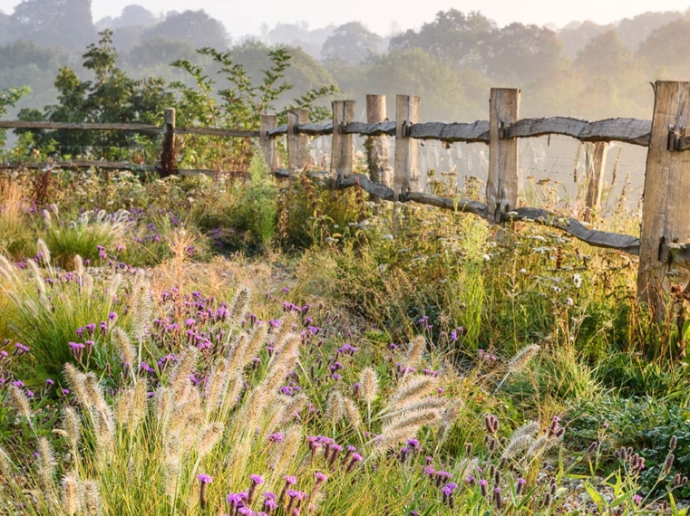 Tillingham Winery Flowers