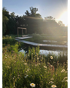 The Telegraph April 2020