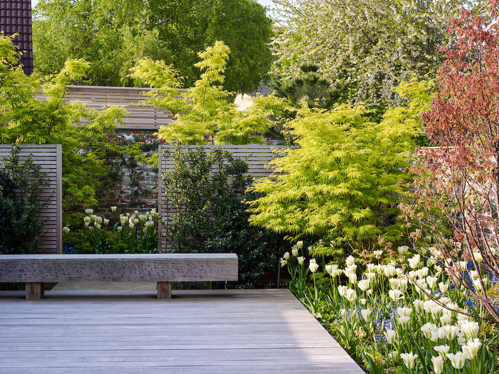 Bench Planting Courtyard