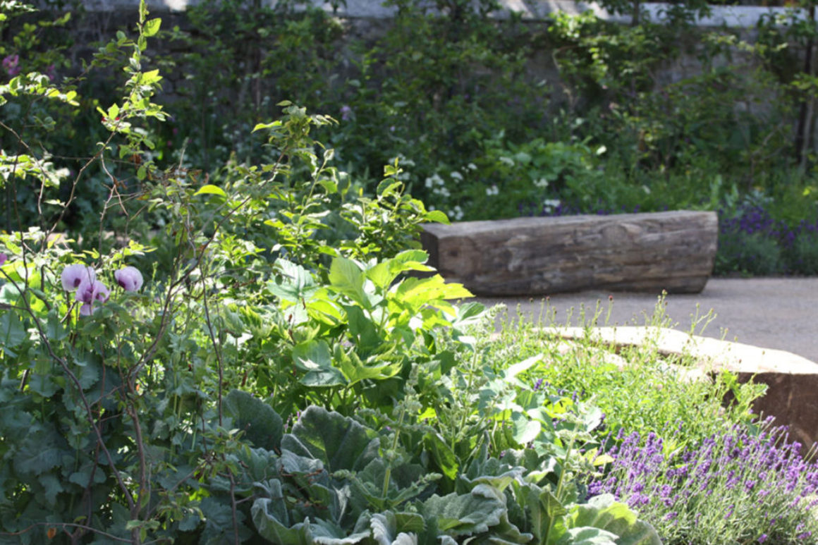 Blackthorn Healing Bench Blackthorn Healing Bench