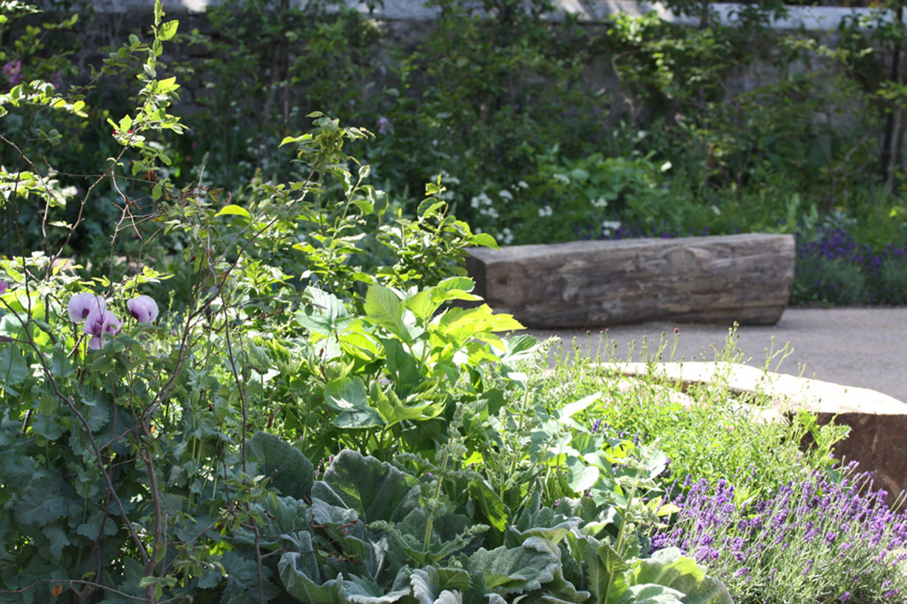 Blackthorn Healing Bench