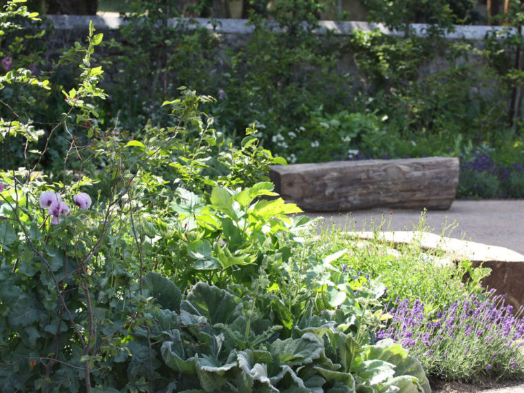 Blackthorn Healing Bench