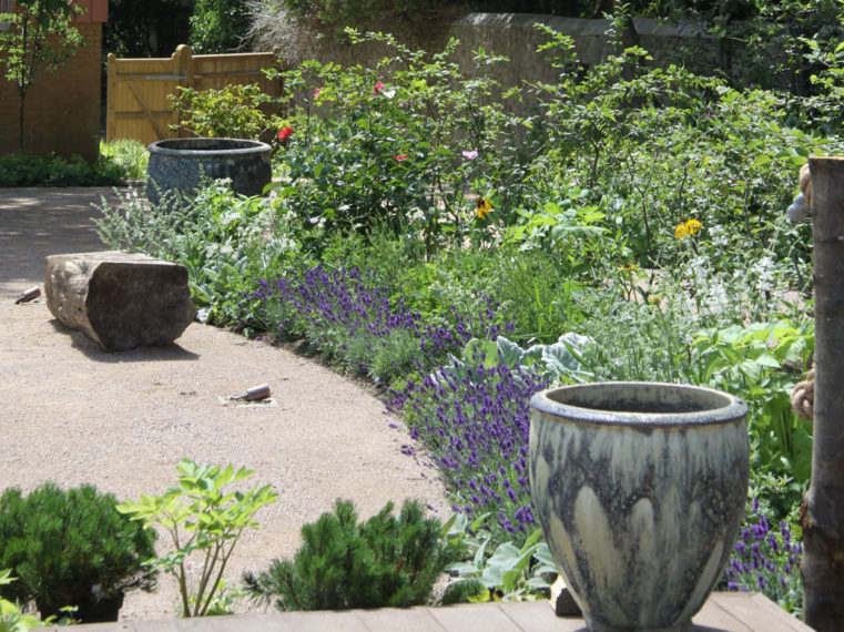 Blackthorn Healing Curved Lines