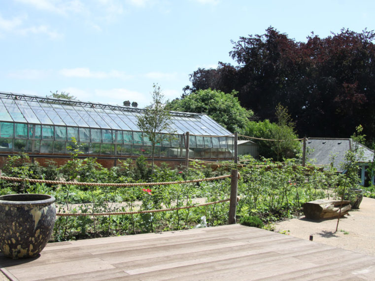 Blackthorn Healing Decking