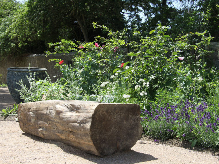 Blackthorn Healing Log Bench