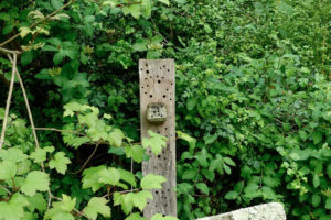 Bug Holes Post Wooden Bug Holes Post Wooden