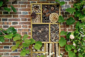 Bug Hotel Wall Design Bug Hotel Wall Design