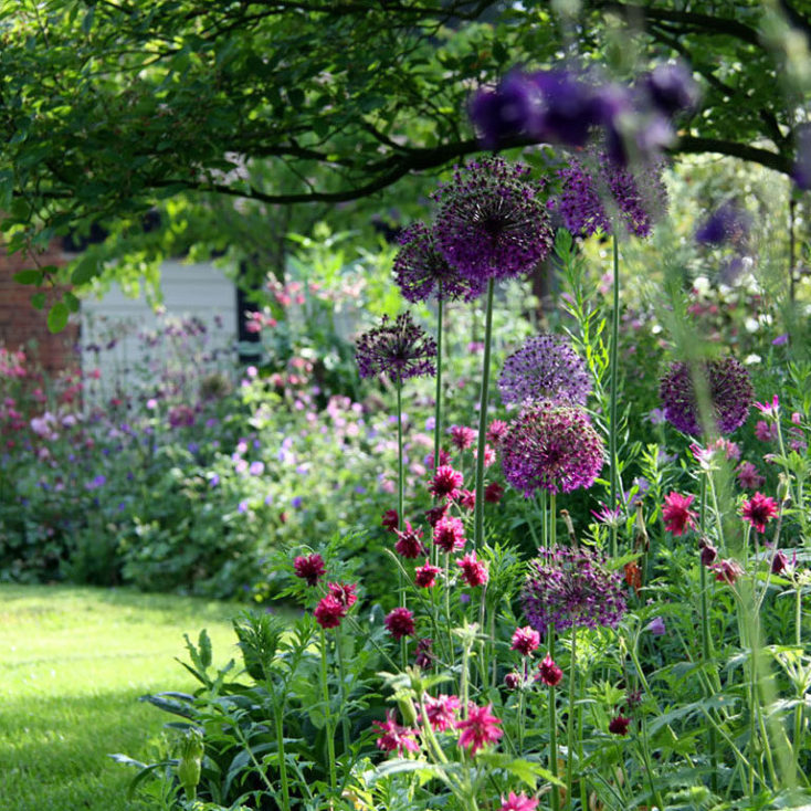 Contact Marian Boswall Landscape Architects