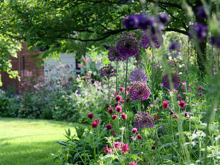 Contact Marian Boswall Landscape Architects