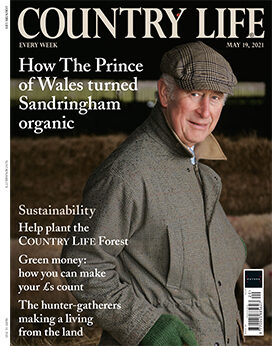 Click to view in a new window... Country Life March 2021