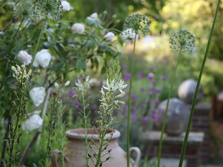 Herbaceous Gardens By Marian Boswall