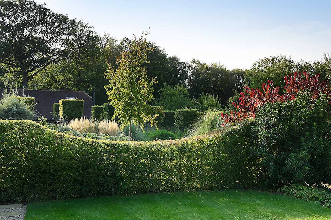 Setting boundaries – finding the perfect hedging