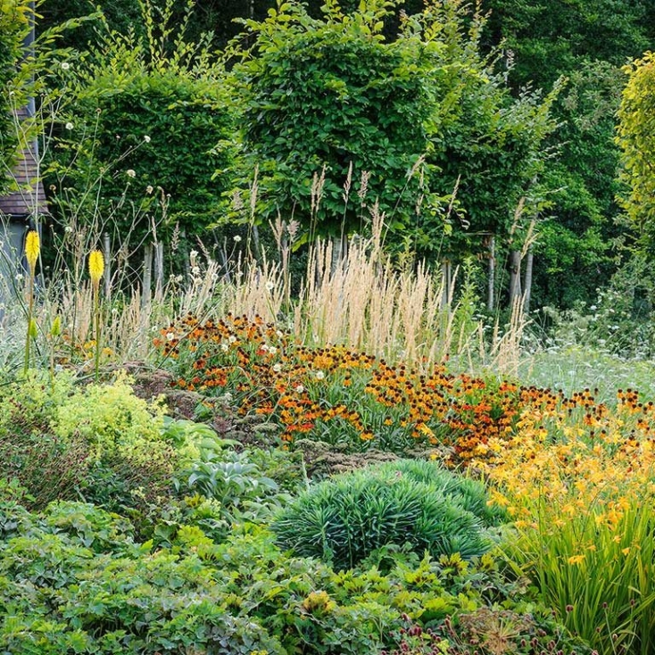 Landscape Design By Marian Boswall