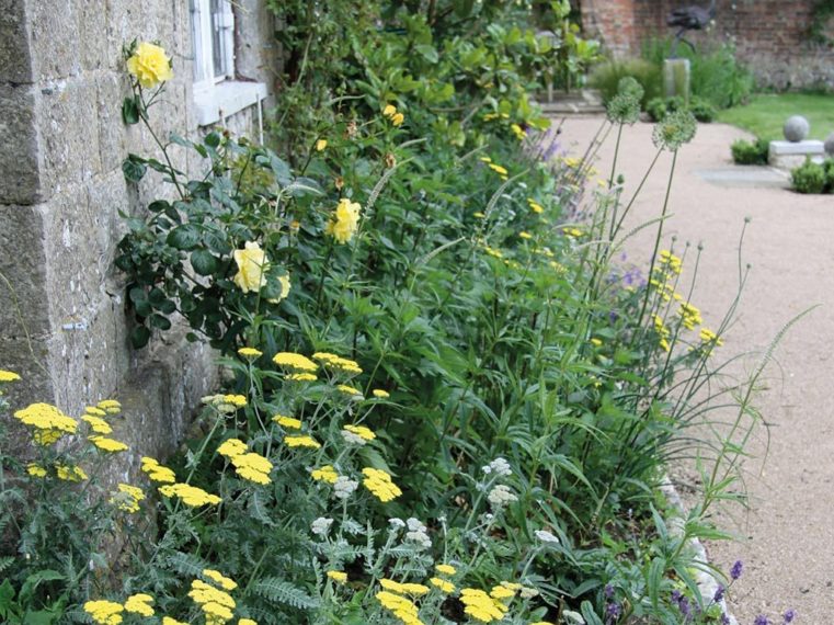 Marian Boswall Herb Garden Design