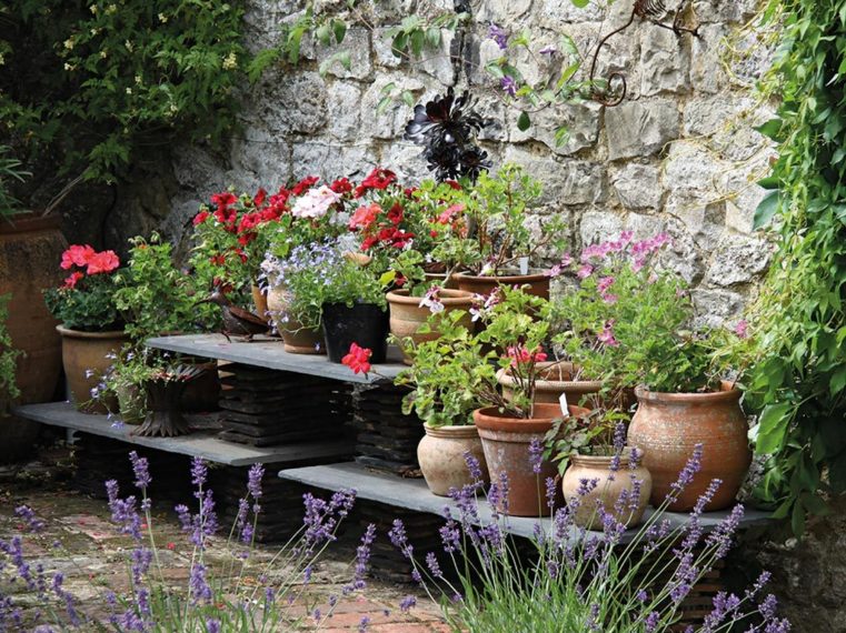 Marian Boswall Landscapes Kent