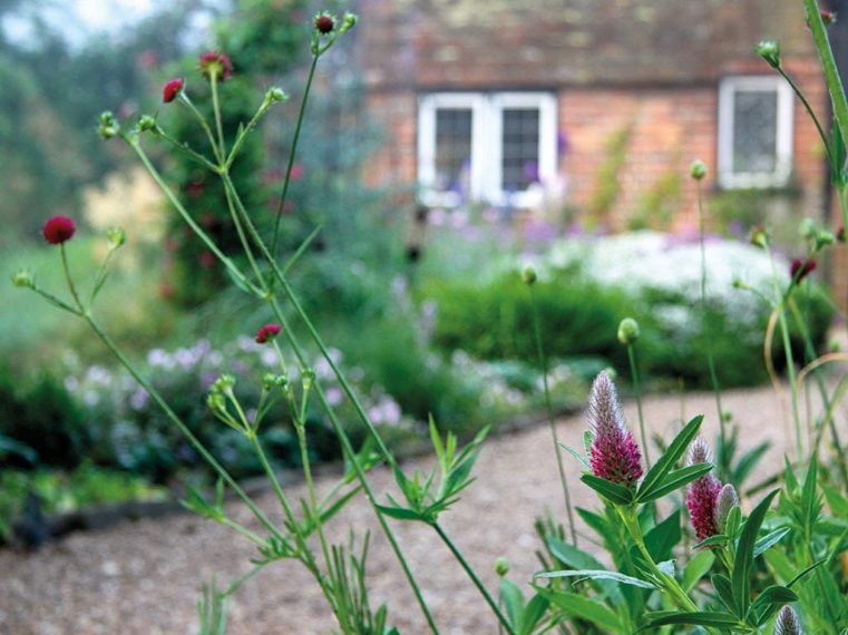 Organic Garden Design Kent