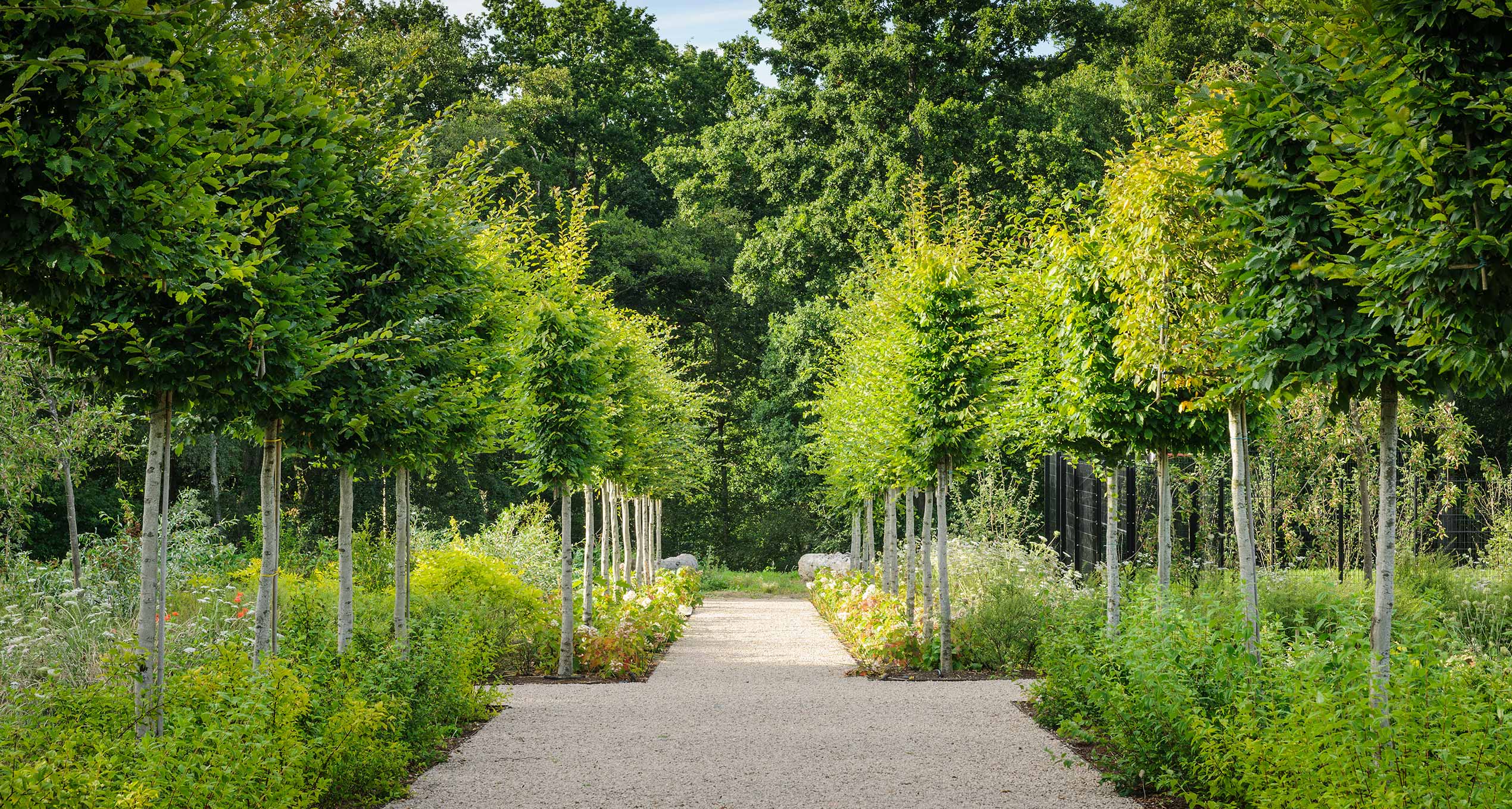 Marian Boswall Landscape Architects Garden Designers Professional Landscape Architects