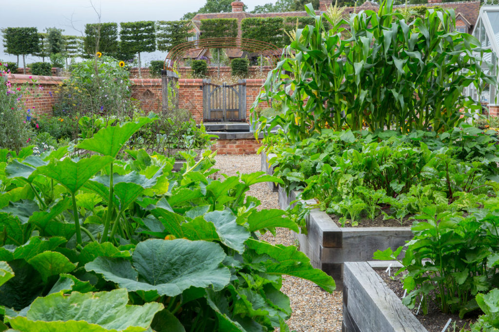 Raised Planter Kitchen Garden Marian Boswall Landscape Architects